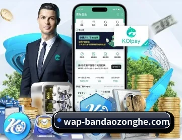 半岛综合 APP